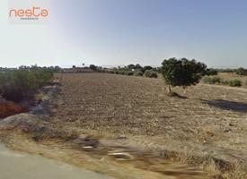 PARCELA MUY CERCA DEL CASCO URBANO DE LORCA photo 0
