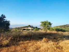 COMPLEJO FINCA RURAL DE 267 HECTÁREAS CON 6 VIVIENDAS Y PISCINAS photo 0