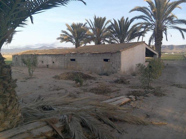 PARCELA DE CULTIVO CON ALMACENES Y PORCHE photo 0
