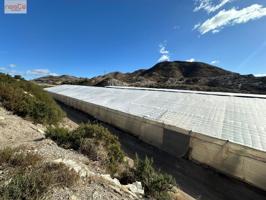 VENTA DE PARCELA AGRARIA photo 0