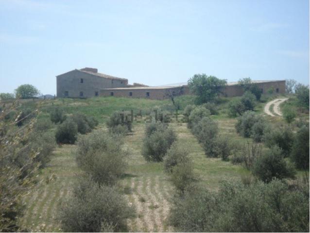 VENTA FINCA RUSTICA CON CORTIJO Y NAVE photo 0