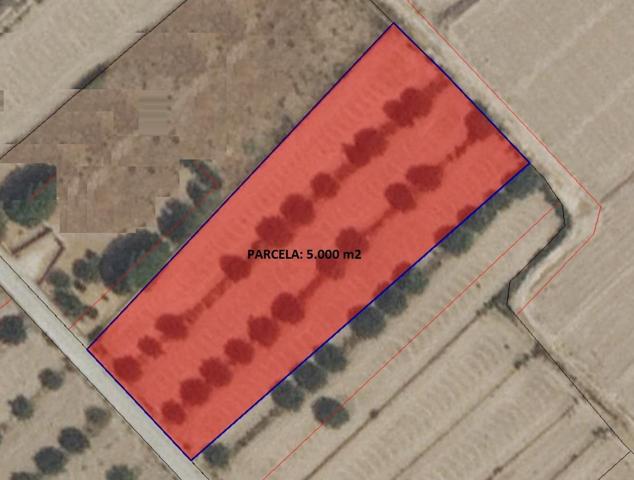 PARCELA 5.000 m2 EN AGUADERAS PARA EDIFICAR O CULTIVAR photo 0