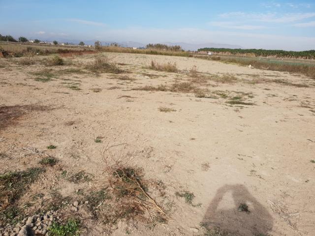 Terreno de 60 000 m2 en Ciudad Quesada photo 0
