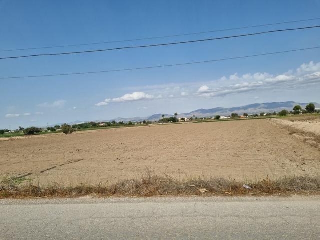 Parcela de 11000m2 en Dolores photo 0