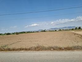 Parcelas rústicas con el 2% de edificabilidad y dos alturas photo 0