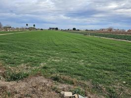 parcela rústica agraria de 7500m2 en Dolores photo 0