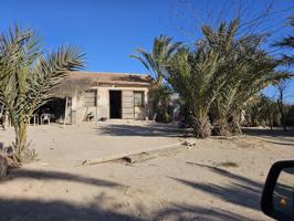 Casa para reformar con parcela en el campo de Guardamar photo 0