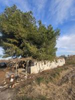 Parcela Rústica de 3000m2 con Casa de Apero photo 0