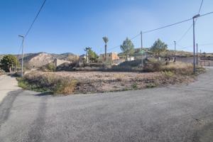 ¡PARCELA URBANA PARA CONSTRUIR EN ALGUEÑA! photo 0