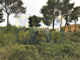 Terreno en Valldemar photo 0