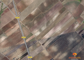 Terreno Urbanizable En venta en Carretera Valverde De Merida, Mérida photo 0