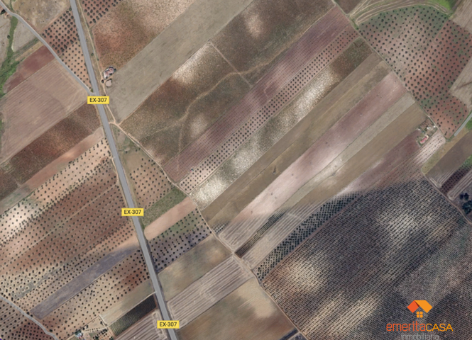 Terreno Urbanizable En venta en Carretera Valverde De Merida, Mérida photo 0