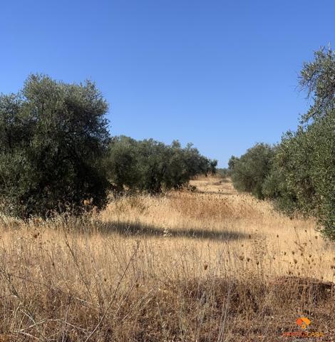 Terreno Urbanizable En venta en Zona De Tiza, Almendralejo photo 0