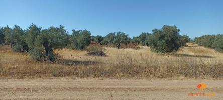 Terreno Urbanizable En venta en San Marcos, Almendralejo photo 0