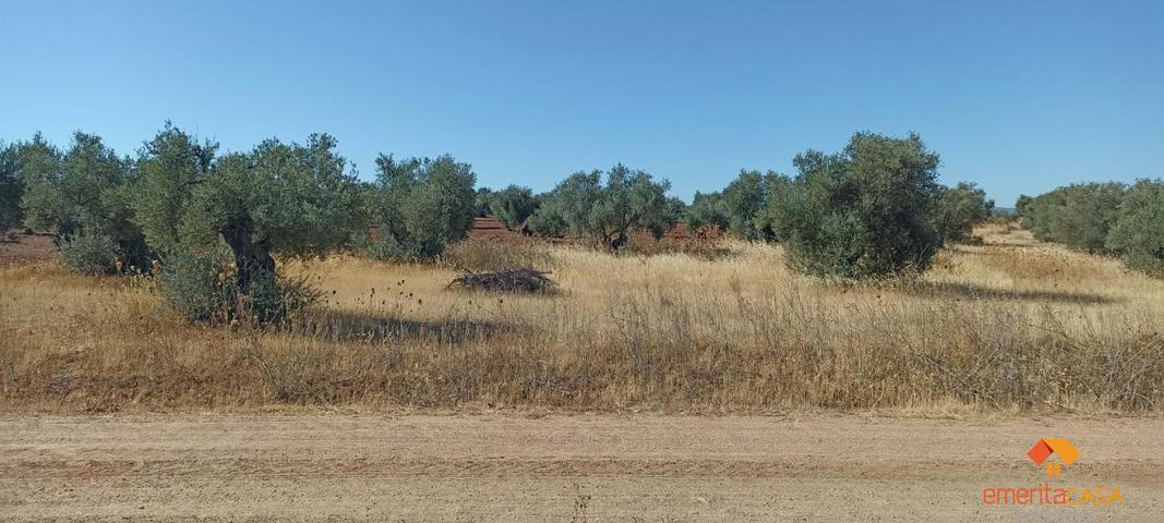 Terreno Urbanizable En venta en San Marcos, Almendralejo photo 0