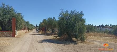 Terreno Urbanizable En venta en San Marcos, Almendralejo photo 0