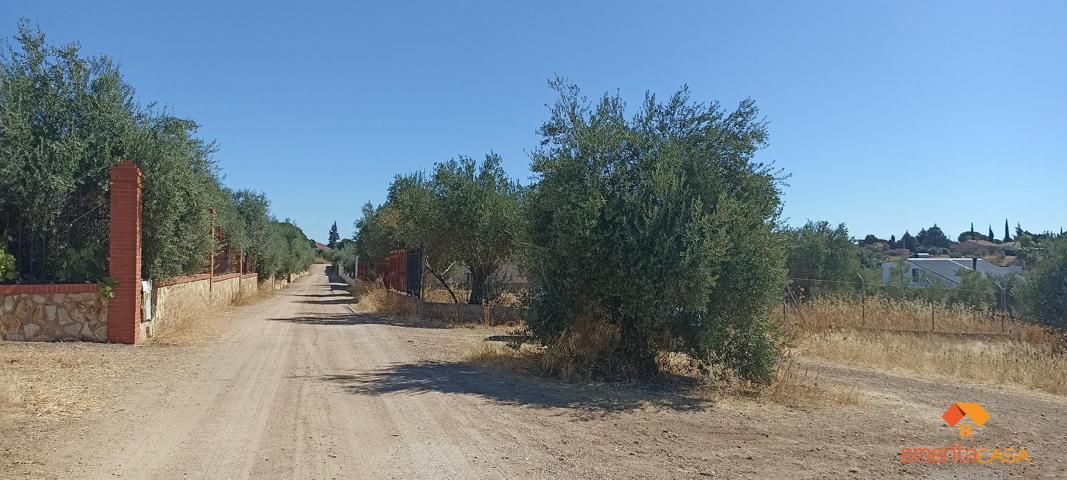 Terreno Urbanizable En venta en San Marcos, Almendralejo photo 0