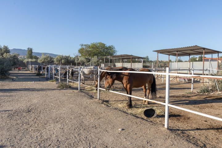 Mansión En venta en Barranco Satajardas, La Zubia photo 0