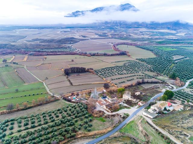 CORTIJO CERCA DE BENAMAUREL photo 0