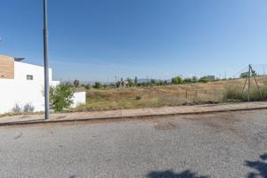 Solar Urbano photo 0