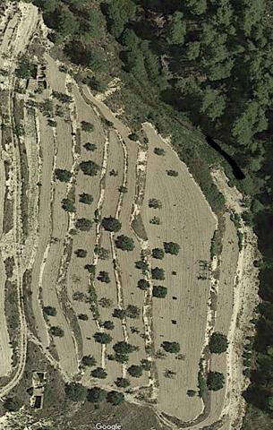 Terrenos Edificables En venta en Torremanzanas-La Torre de les Maçanes photo 0