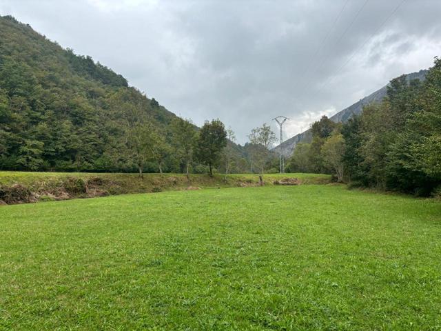 Terreno en venta en Soto de 27000 m2 photo 0