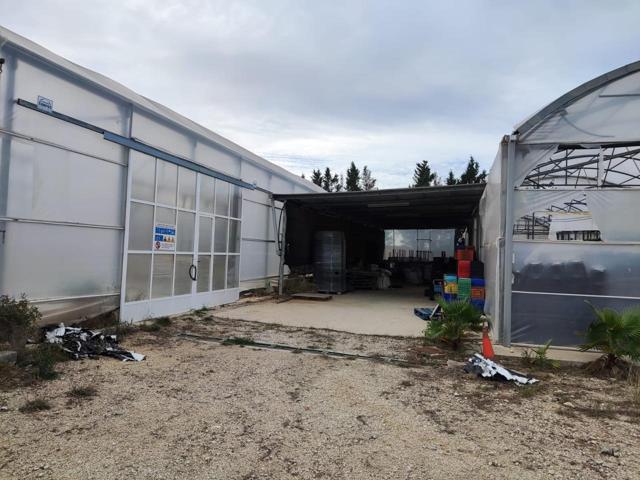 Vivero de plantas en alquiler photo 0