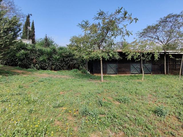 Terreno Urbanizable En venta en Ctra Utrera, Alcala De Guadaira photo 0