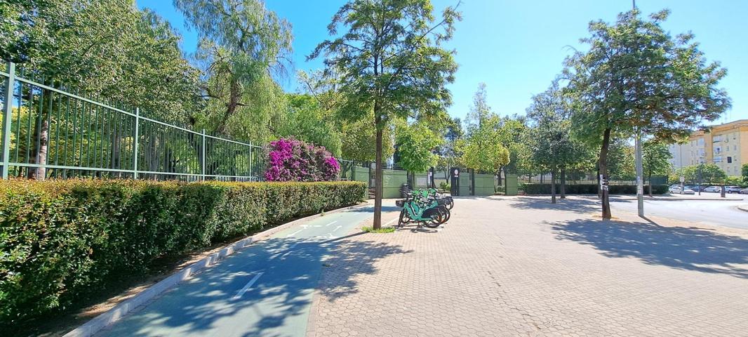 En Sevilla junto al metro. photo 0