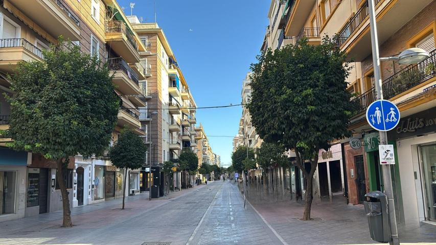 Exclusivo piso en Los Remedios photo 0