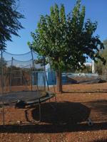 TERRENO URBANIZABLE NO CONSOLIDADO DE 1000 M2 CON PISCINA INCLUIDA photo 0