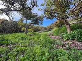 Terreno Urbanizable En venta en Alhaurín el Grande photo 0