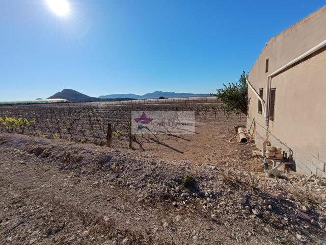 Terreno Urbanizable En venta en Campo, Monforte Del Cid photo 0