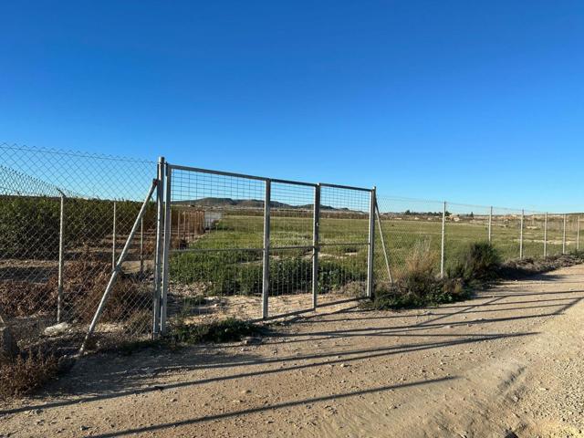 TERRENO EN BACAROT photo 0