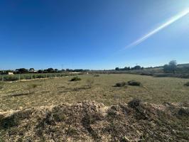 TERRENO RUSTICO EN BACAROT - 12.000 mts photo 0
