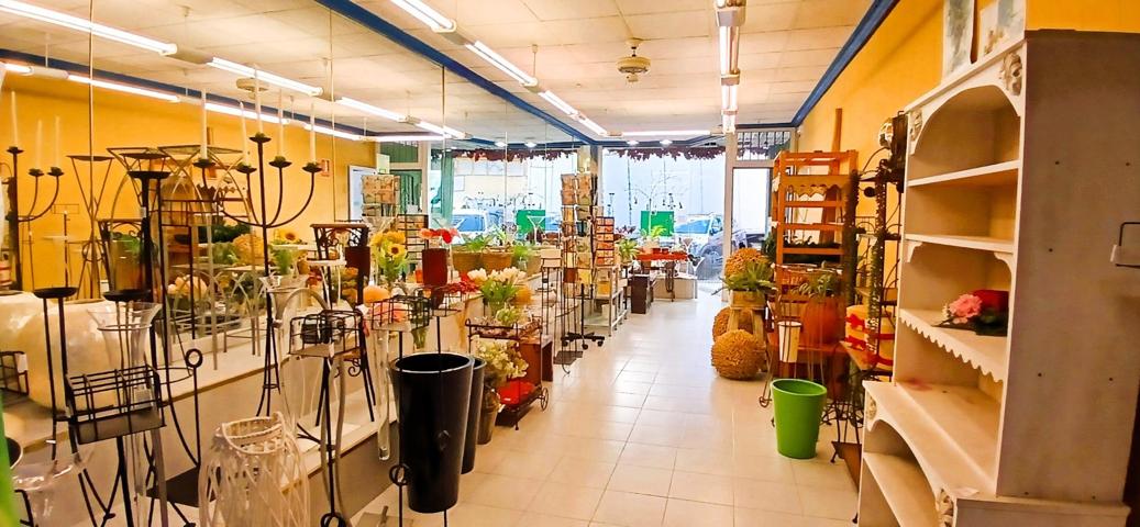 SE ALQUIILA LOCAL COMERCIAL TORREVIEJA CENTRO photo 0