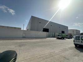 SE ALQUILA NAVE COMERCIAL - INDUSTRIAL DE 600 MTS2 EN POLIGONO INDUSTRIAL DE ALMORADI photo 0
