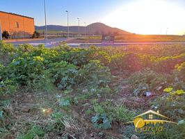 Terreno en venta en Calamonte de 546 m2 photo 0