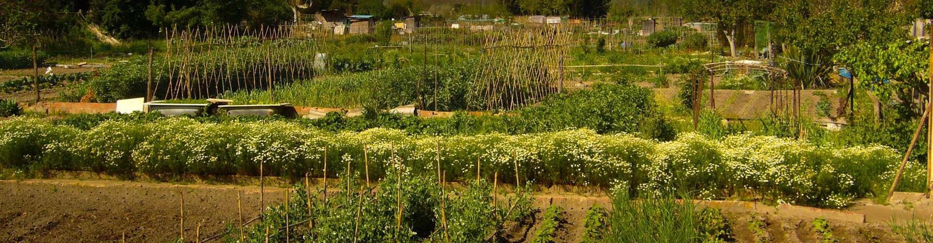 Agrícola En venta en Girona photo 0