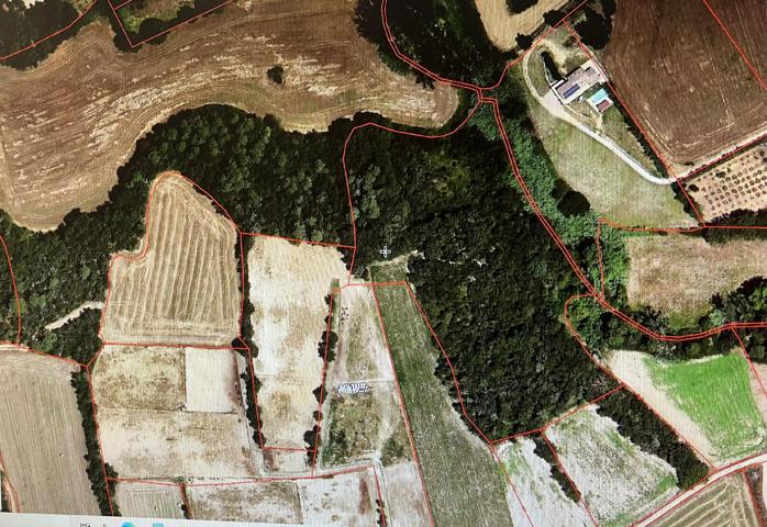 Agrícola En venta en Cruïlles, Monells i Sant Sadurní de l'Heura photo 0