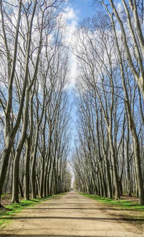 Piso En venta en Girona photo 0