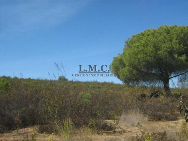 Terreno en venta en Lepe photo 0