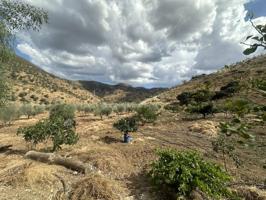 FINCA RUSTICA CASABERMEJA CON 8000M2 PARCELA LLANA CON POZO PROPIO photo 0