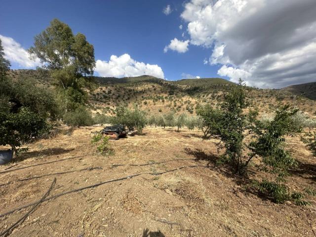 FINCA RUSTICA CASABERMEJA CON 8000M2 PARCELA LLANA CON POZO PROPIO photo 0