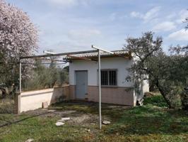 Terreno Agrario con Olivos Centenarios y Casa de Aperos – A 10 Minutos del Centro de Loja (Granada) photo 0