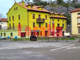 Alojamiento turístico en La Cavada, Cantabria photo 0