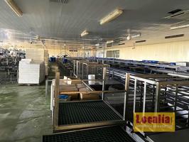 Fábrica de conservas de alimentos en Cantabria photo 0