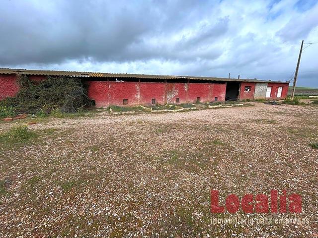 Amplio suelo rústico con nave y piso en Palencia. photo 0
