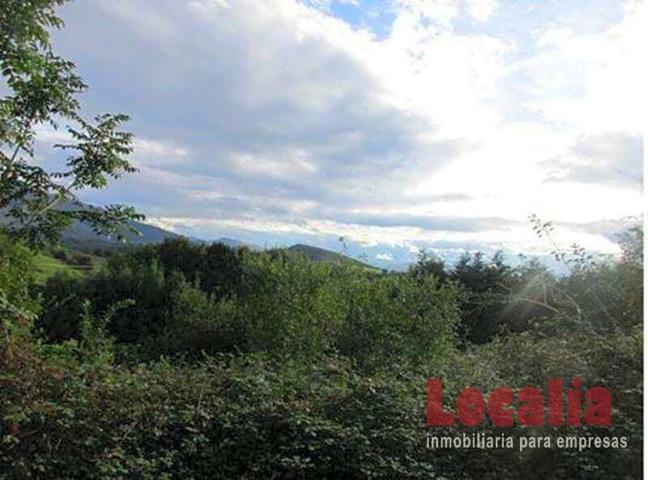 Extenso suelo a buen precio en Reocin, Cantabria photo 0