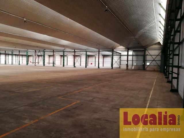 Estupenda nave de 5000 metros con campa. Reocin photo 0